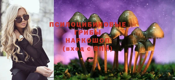 синтетический гашиш Алексеевка