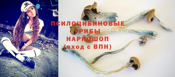 трава Алексин