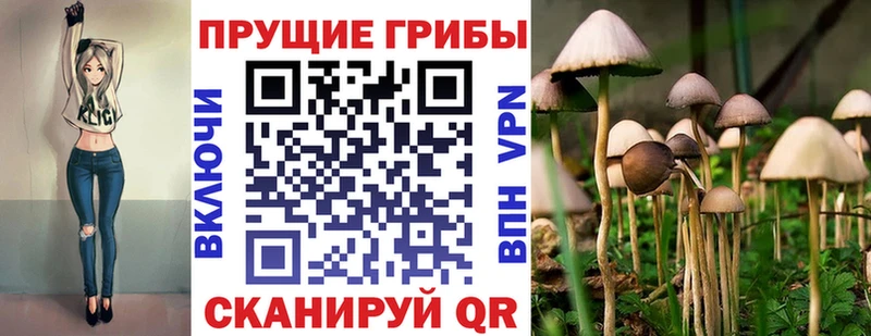закладки  Неман  Галлюциногенные грибы мицелий 